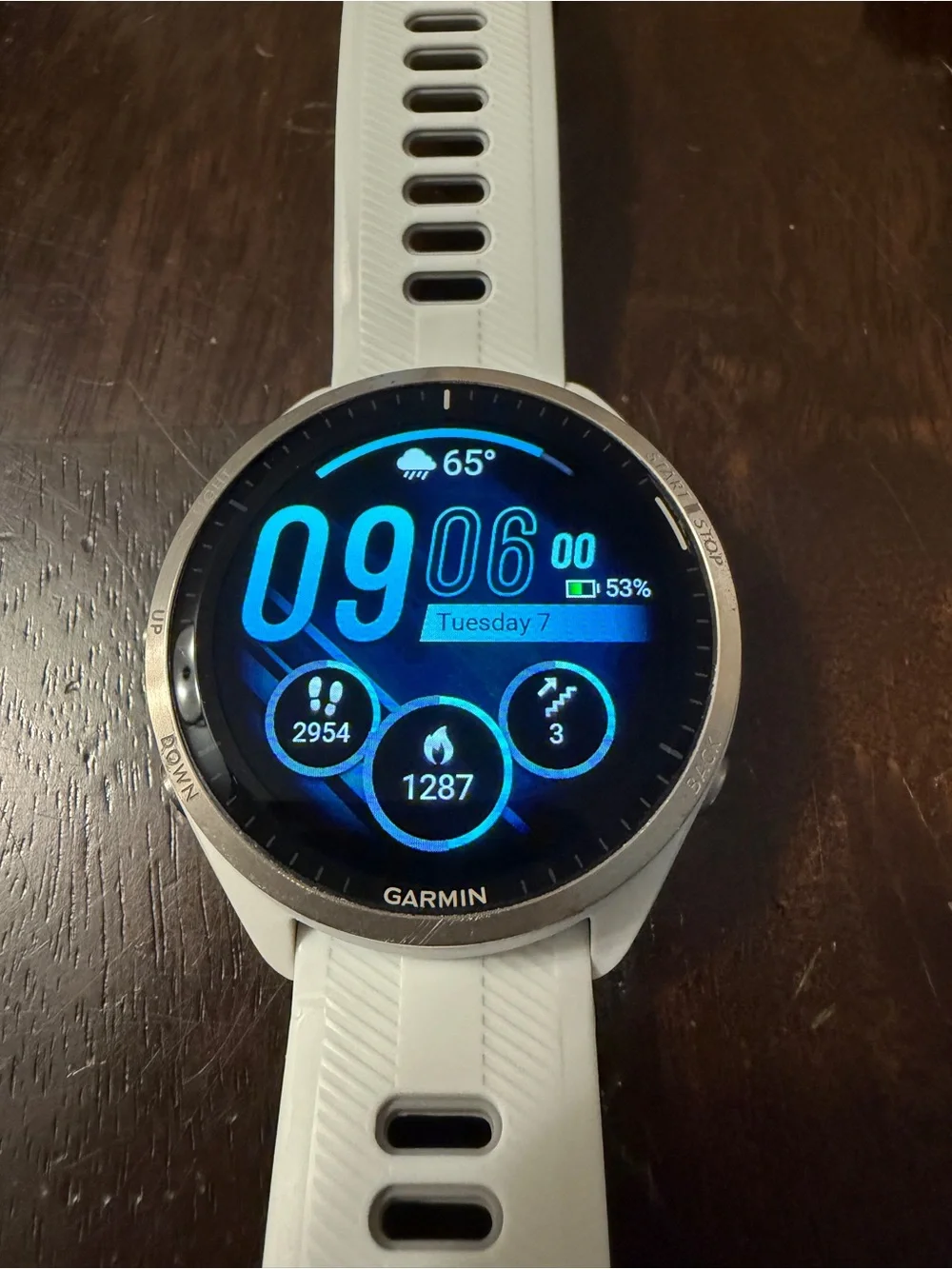 Forerunner 965 Titanium Bezel Garmin Smartwatch